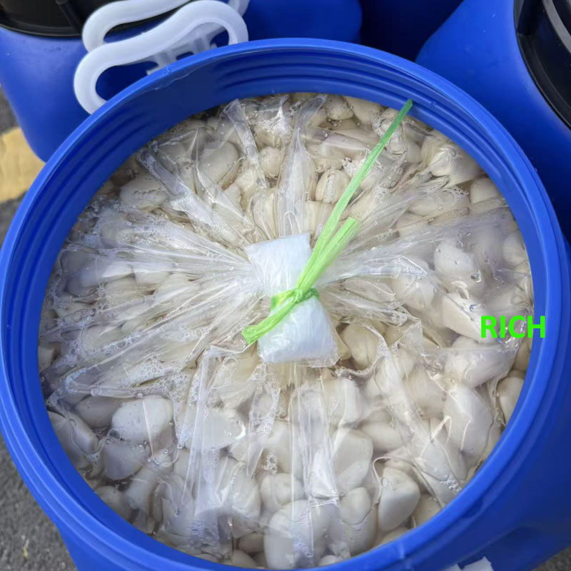 Brine garlic cloves in drum