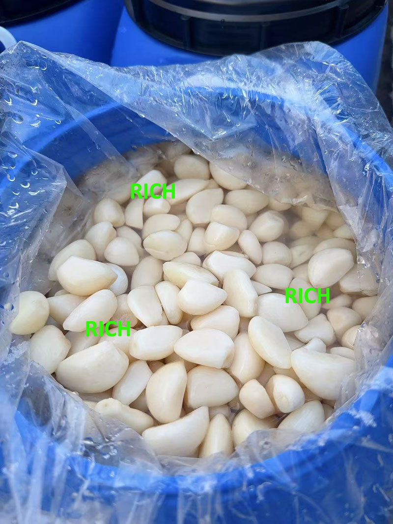 Peeled normal white garlic cloves in brine