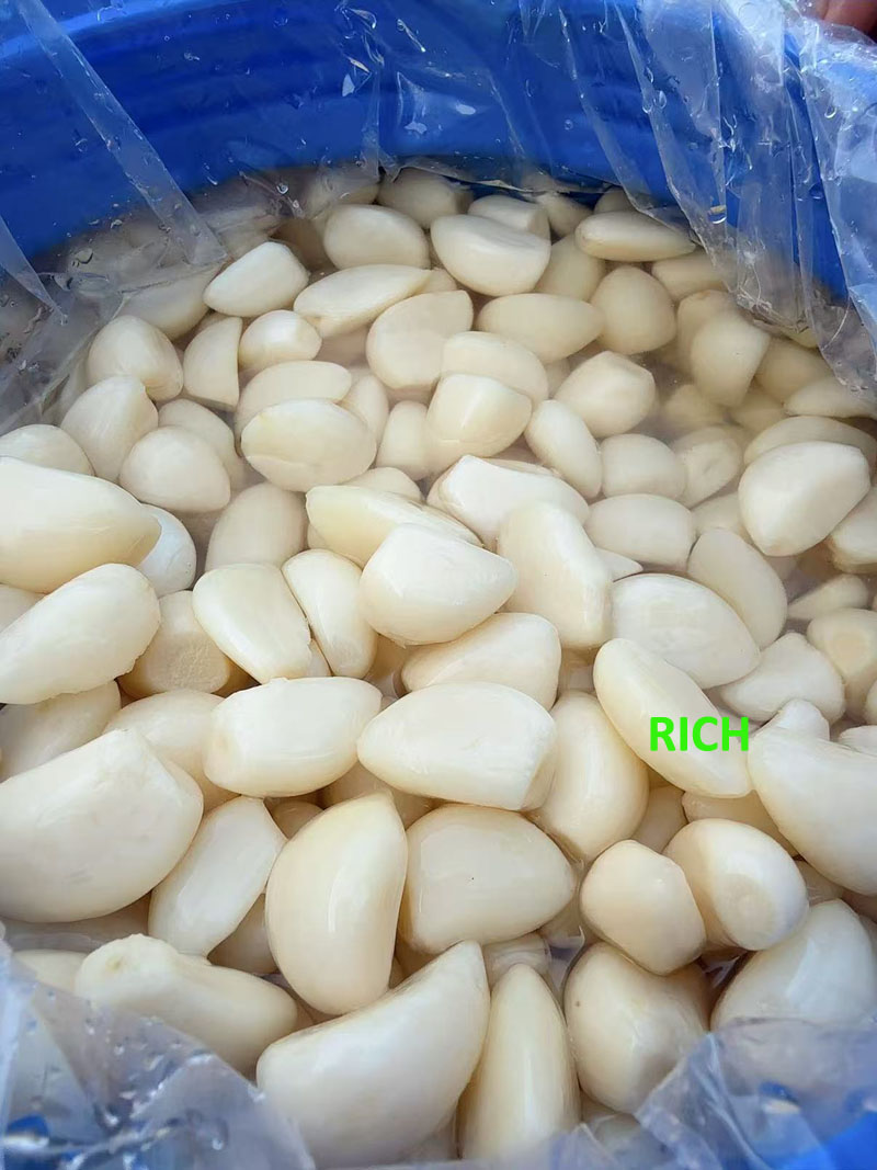 Peeled pickled garlic cloves in brine