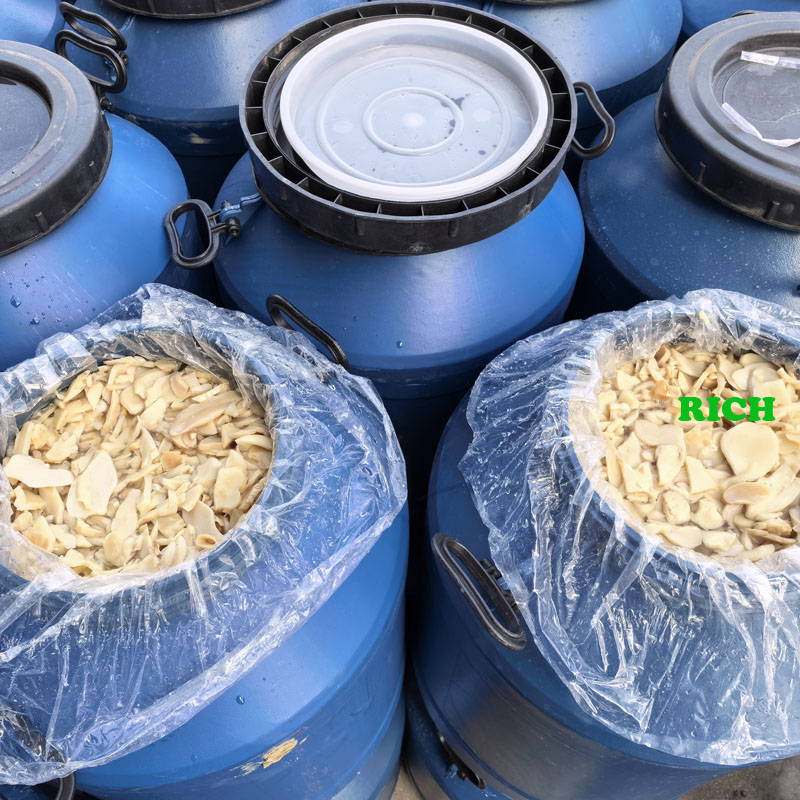 King oyster mushroom in brine in drums