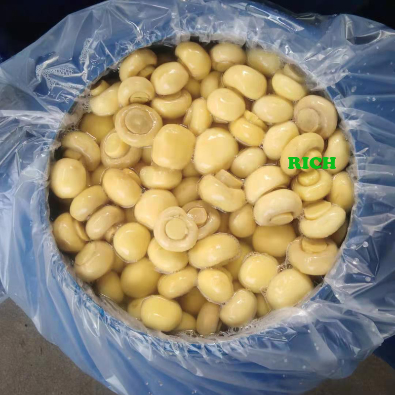 Fresh whole white mushroom in SO2 in drums