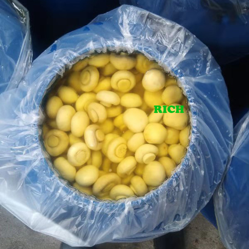 Cultivated champignon mushroom in SO2 in drums