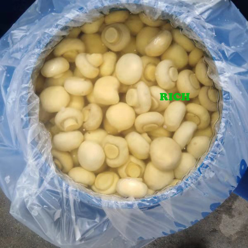 Preserved mushroom in SO2 in drums