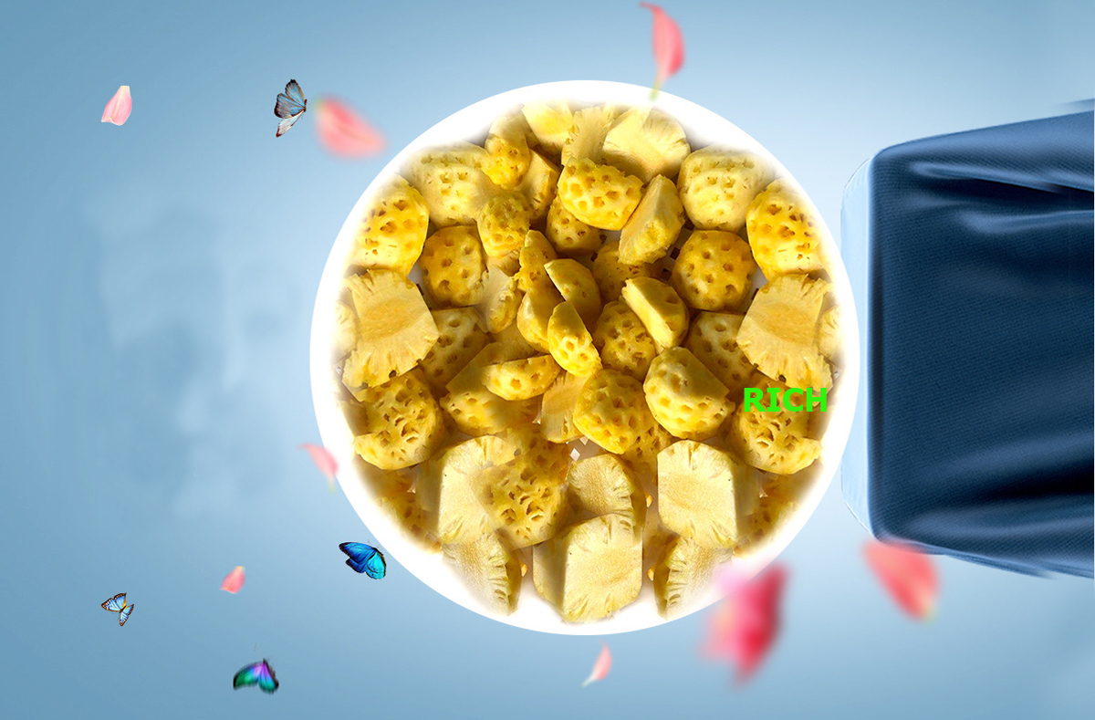 TRENDS IN THE USE OF FROZEN FRUITS FROM SOUTHEAST ASIA IN FOOD PROCESSING