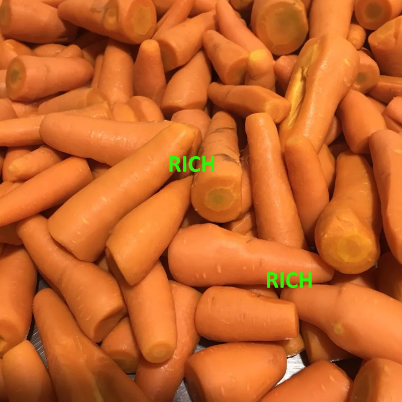 Frozen carrot dices