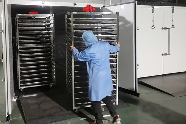 IQF Freezing Temperature Control