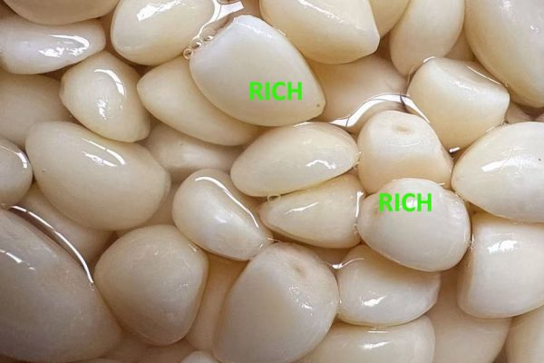 Moisture & Water Activity Monitoring