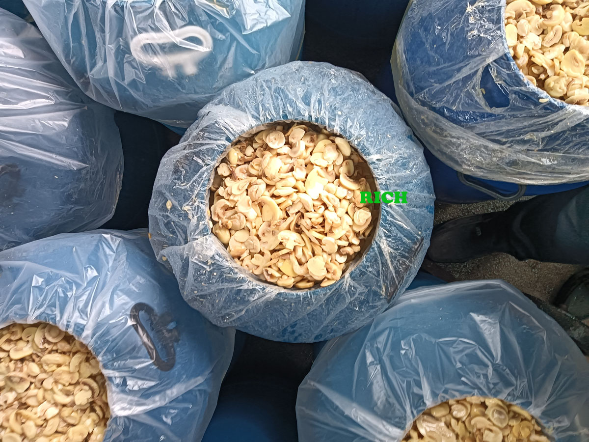 Whole Champignon mushroom in drums
