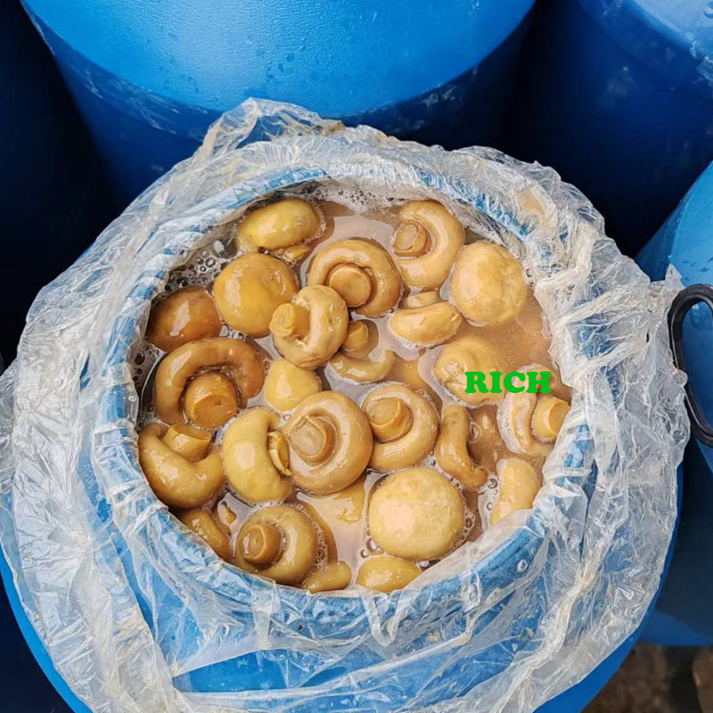Drum Packing Champignon Mushrooms in Brine