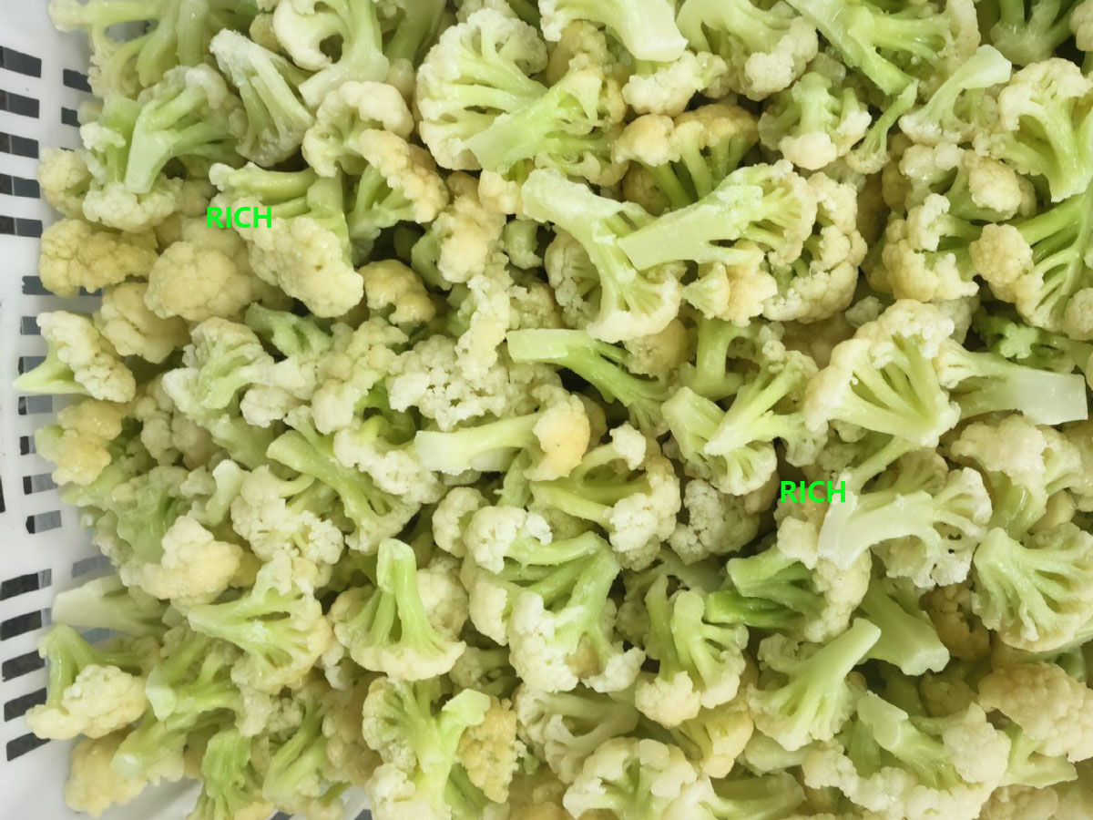 Quick frozen green stem cauliflower