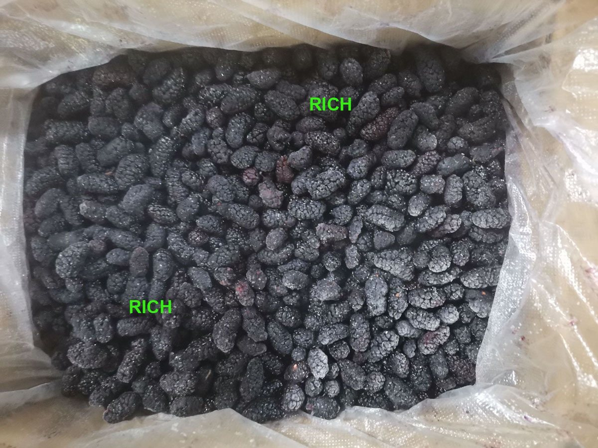 Frozen Fruits Black Mulberry