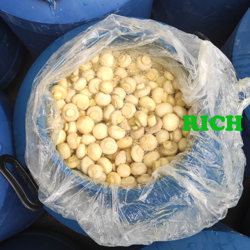 Preserved mushrooms in drum