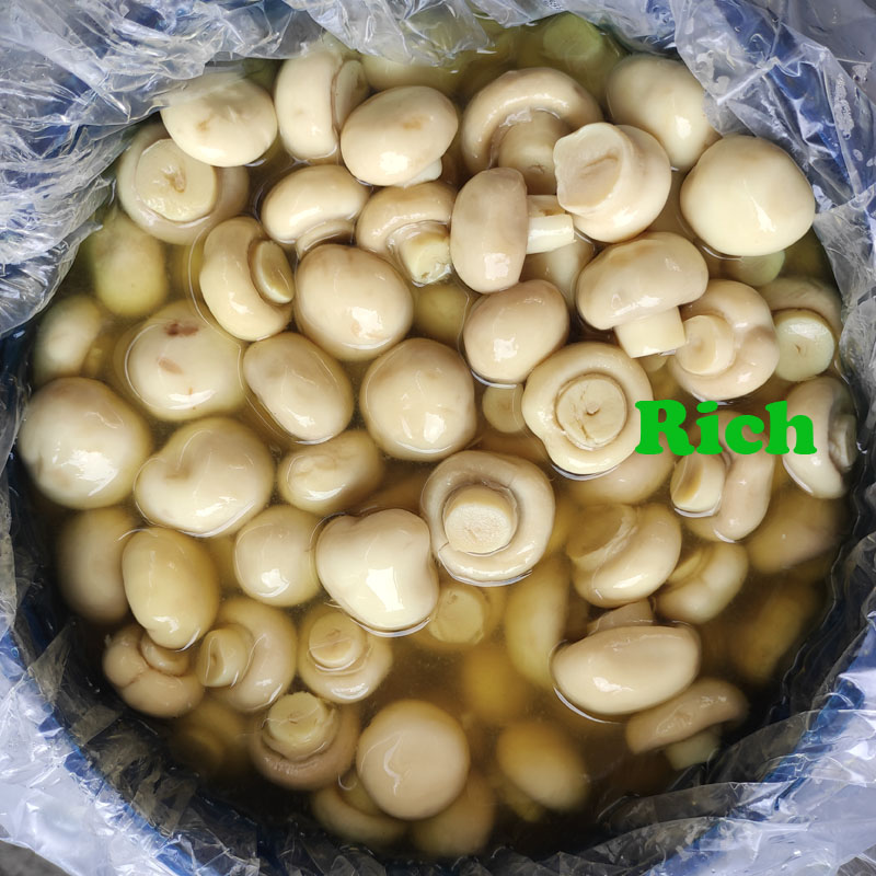 White Mushroom Agaricus in Conserve