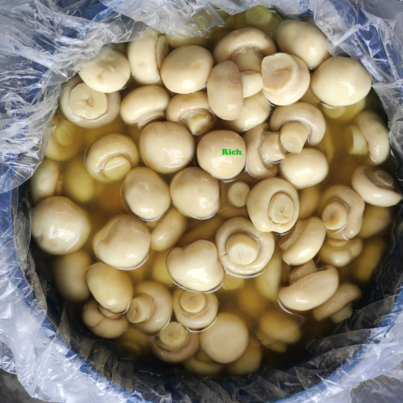 Button Mushrooms in SO2 in Drums