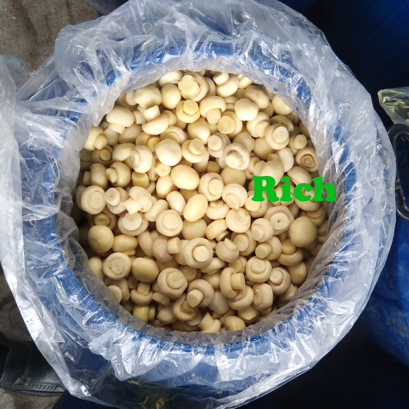 Preserved mushroom in SO2 43kgs/drum