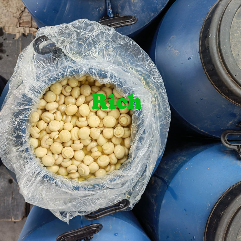 Preserved whole mushroom in SO2