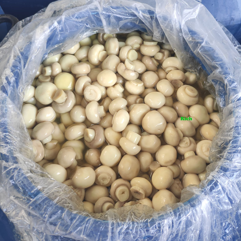 Slice champignon mushroom in SO2 in drums