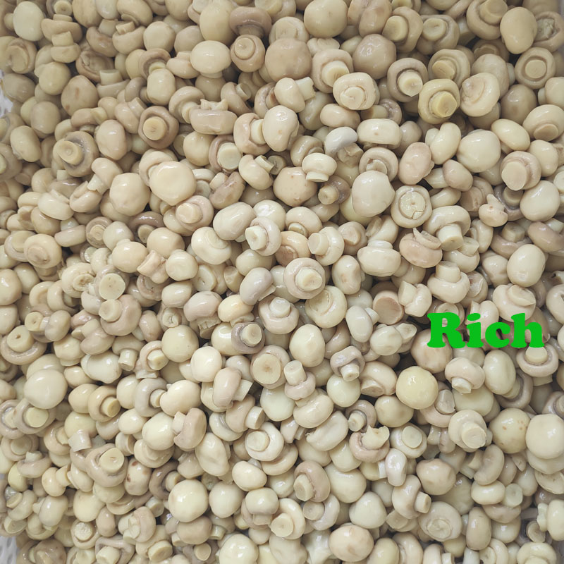 small size mushroom in SO2 in drums