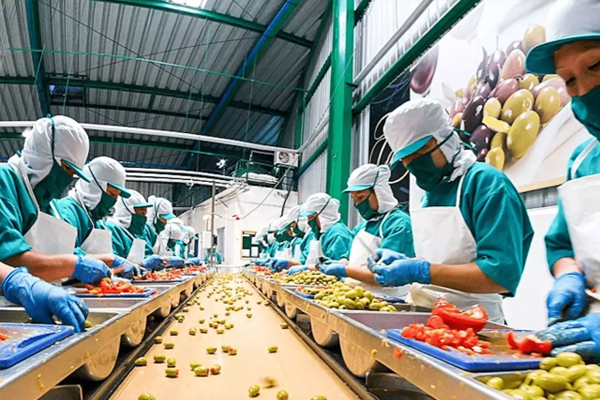 Sorting & Grading Control