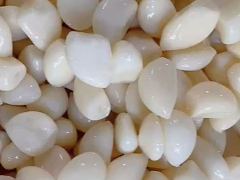 Normal white garlic in salted water in drums