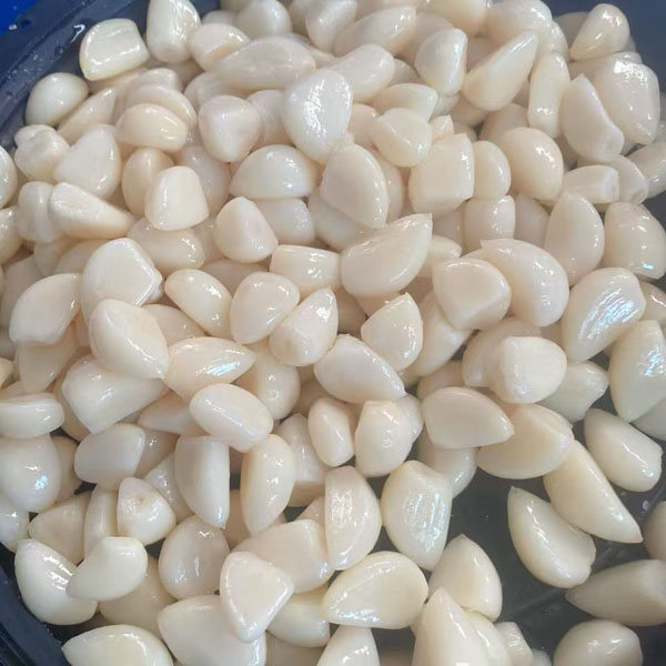 2025 New Garlic in Brine in Drums