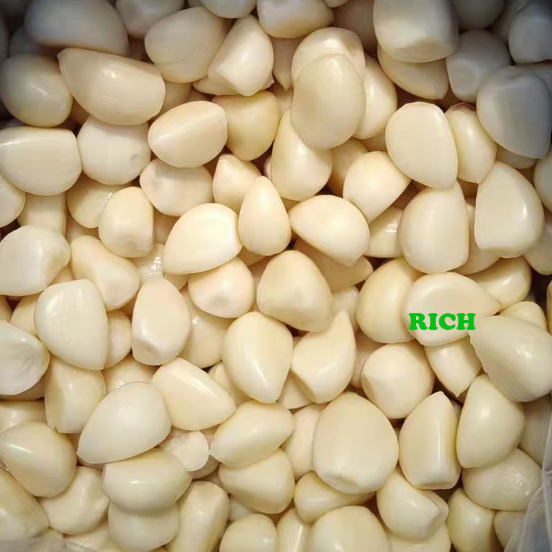 Normal white garlic in salted water in drums