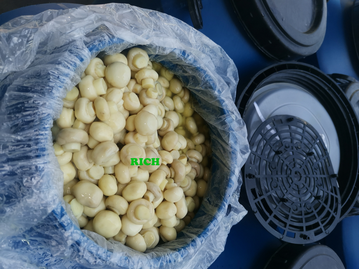 Preserved mushroom in SO2