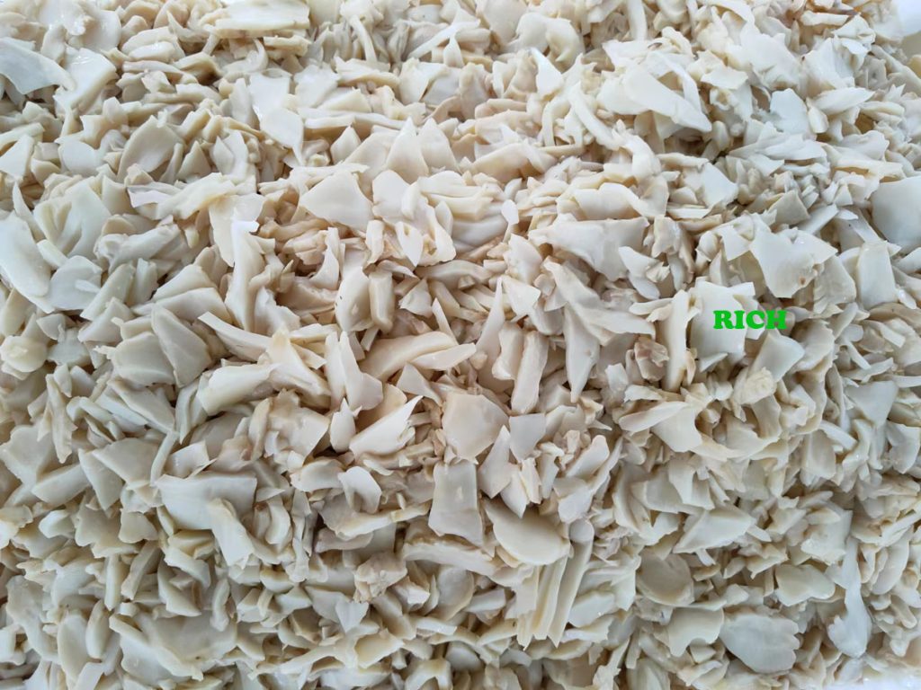 King oyster mushroom in SO2 in drums