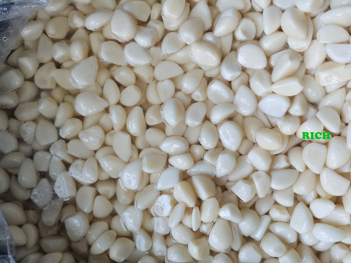 50kg drum packed white garlic in brine