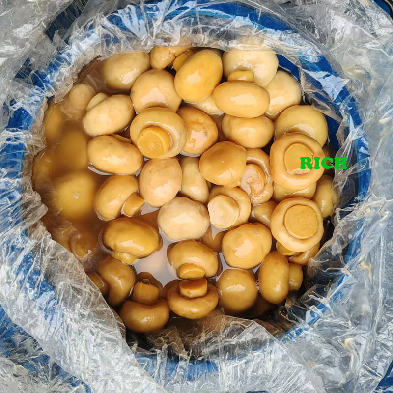 White button mushroom in brine in drums