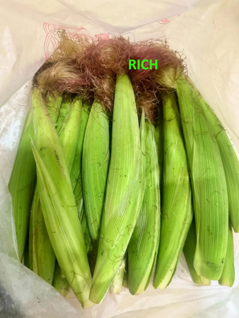 Frozen whole baby corn