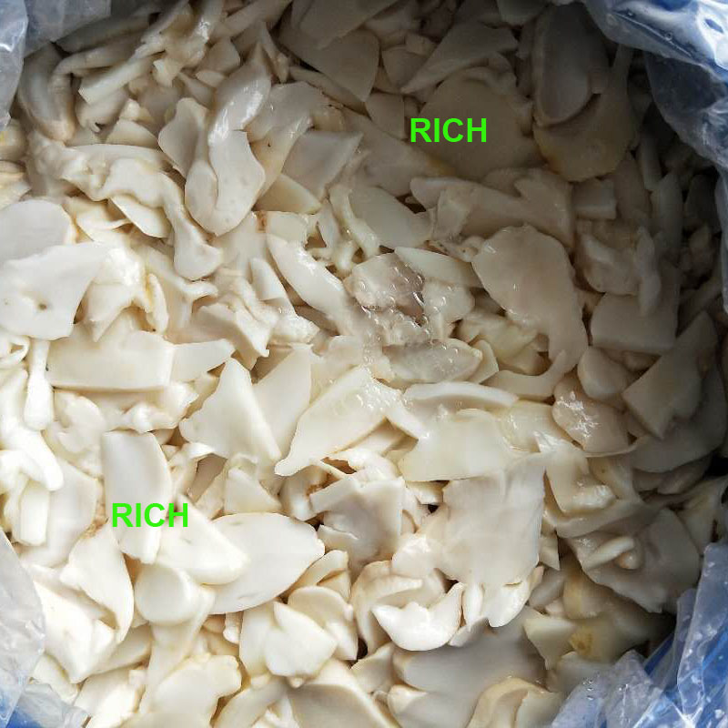 King oyster mushroom in SO2 in drums