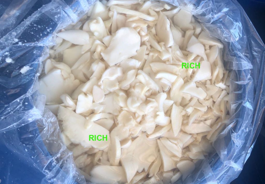 sliced king oyster mushroom in SO2