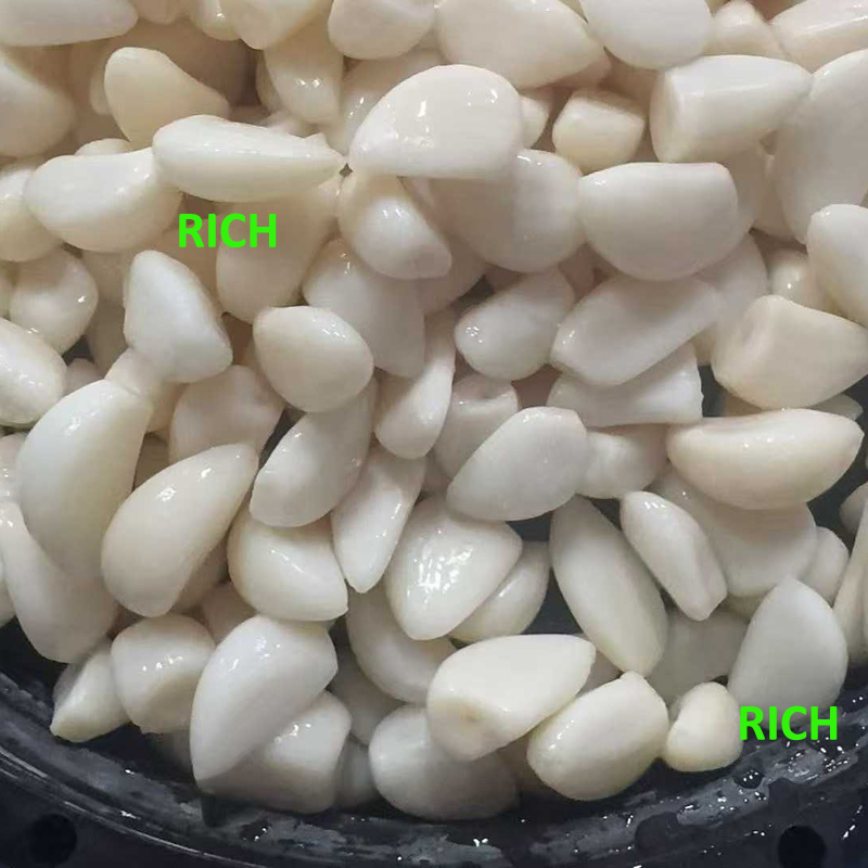 Normal white peeled garlic in brine in drums