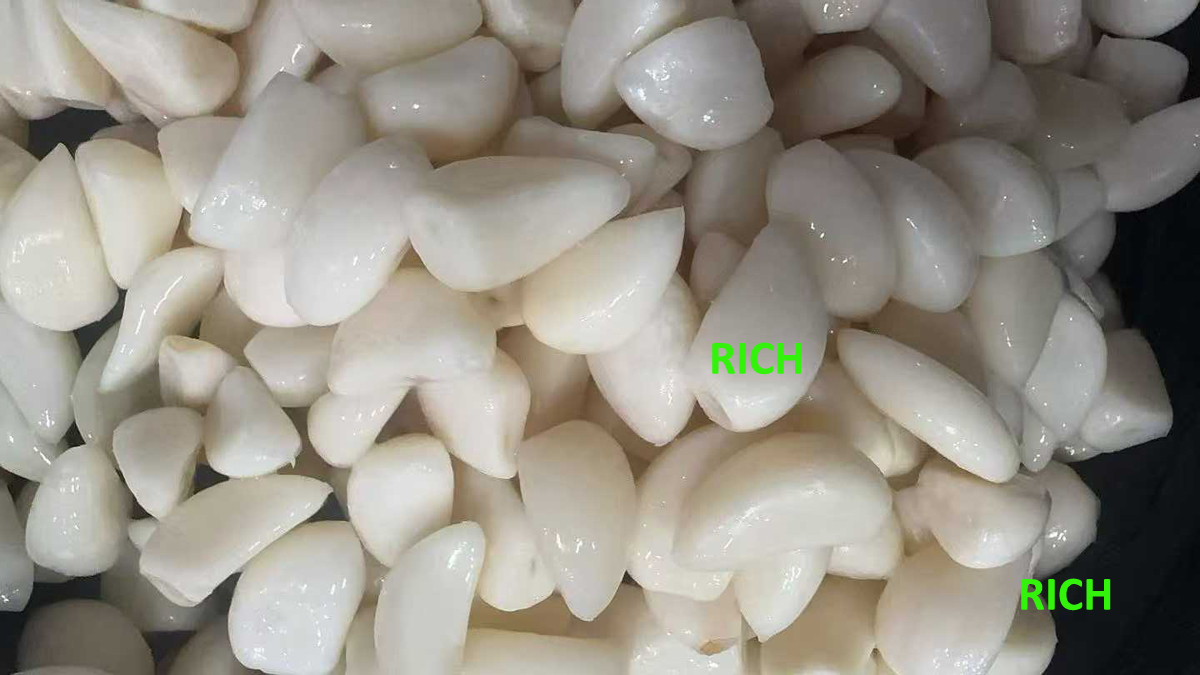 Preserved white garlic cloves in brine in drums
