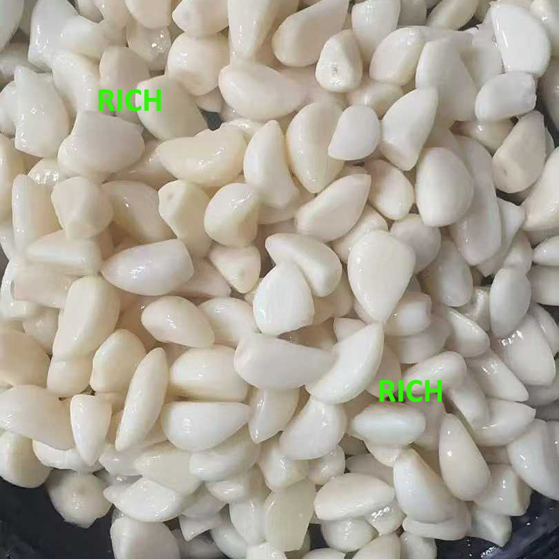 Preserved white garlic cloves in brine in drums