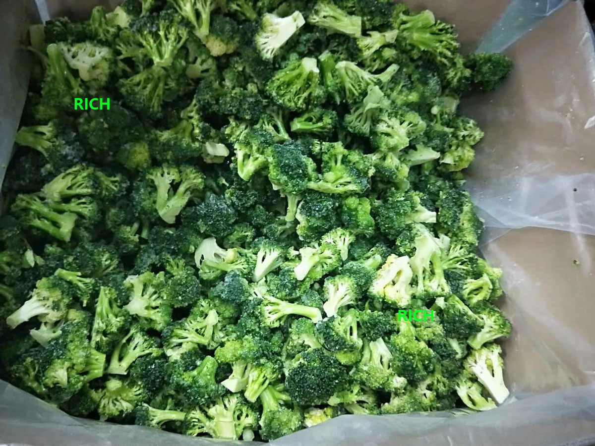 IQF Fresh Florets Broccoli