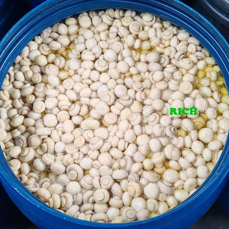 Button Mushroom in Brine in Drums
