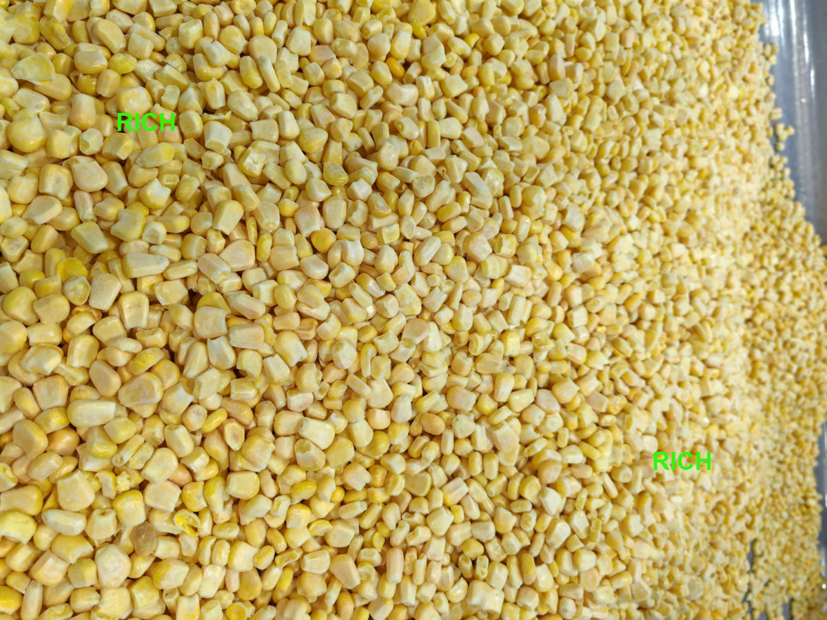 Quick-frozen Sweet Corn Kernels