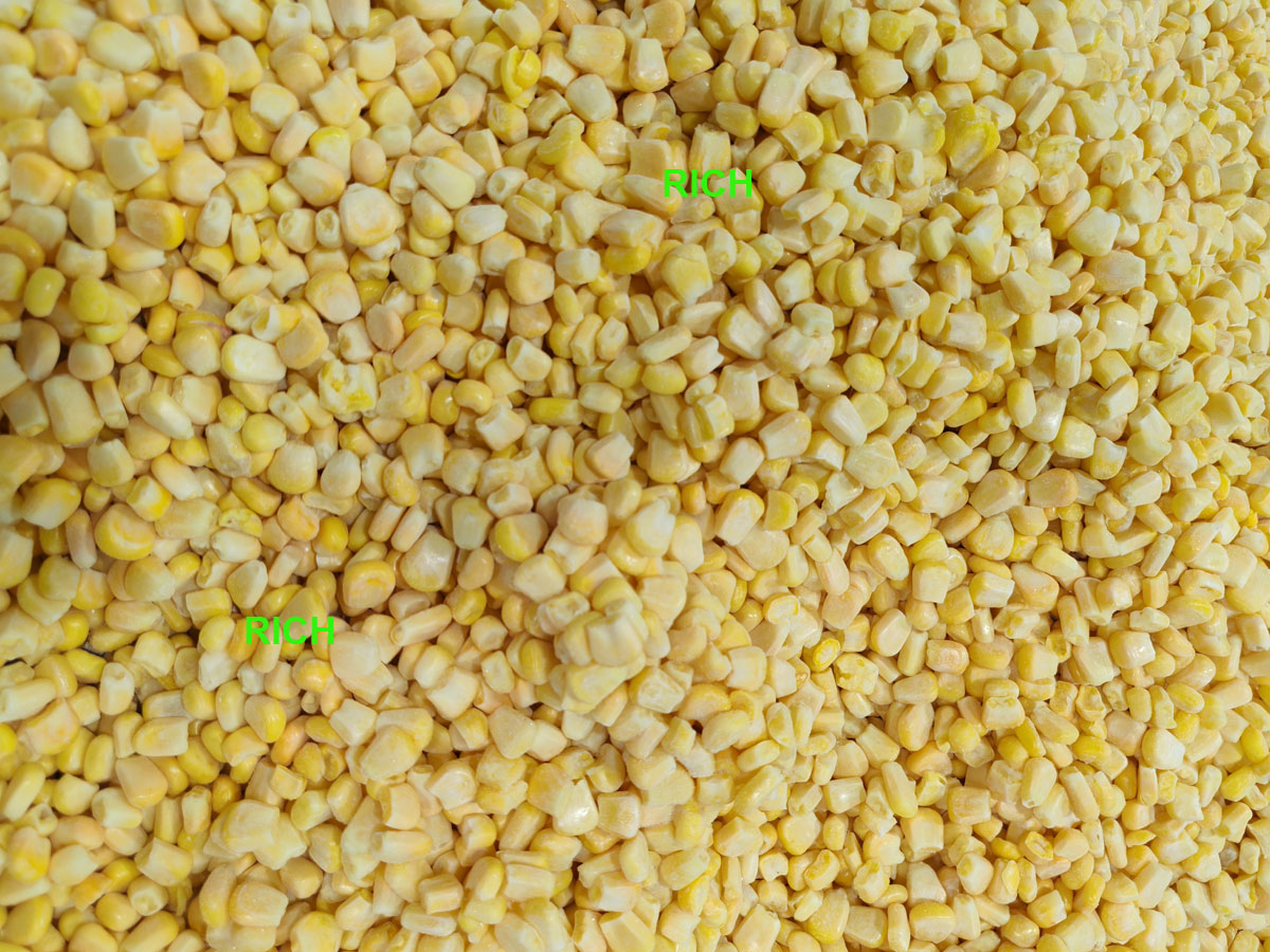 Quick-frozen Corn Kernels