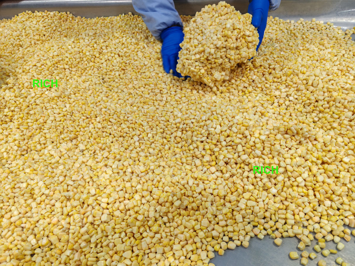 Wholesale Frozen Sweet Corn Kernels