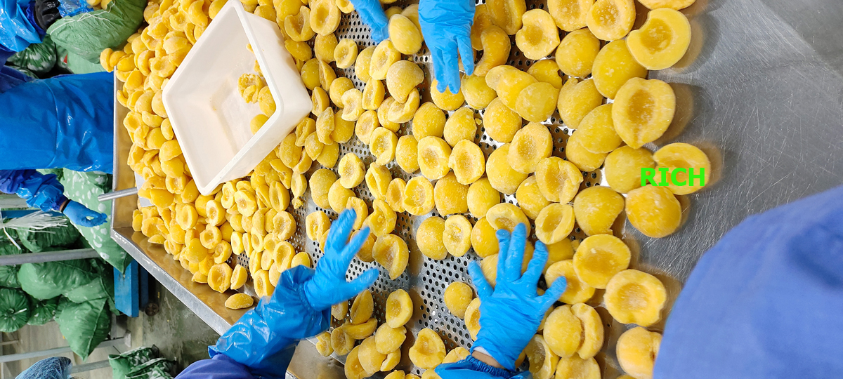 high quality frozen yellow peaches