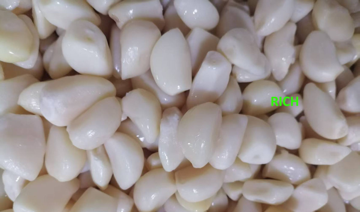 Pickled peeled garlic cloves in barrel