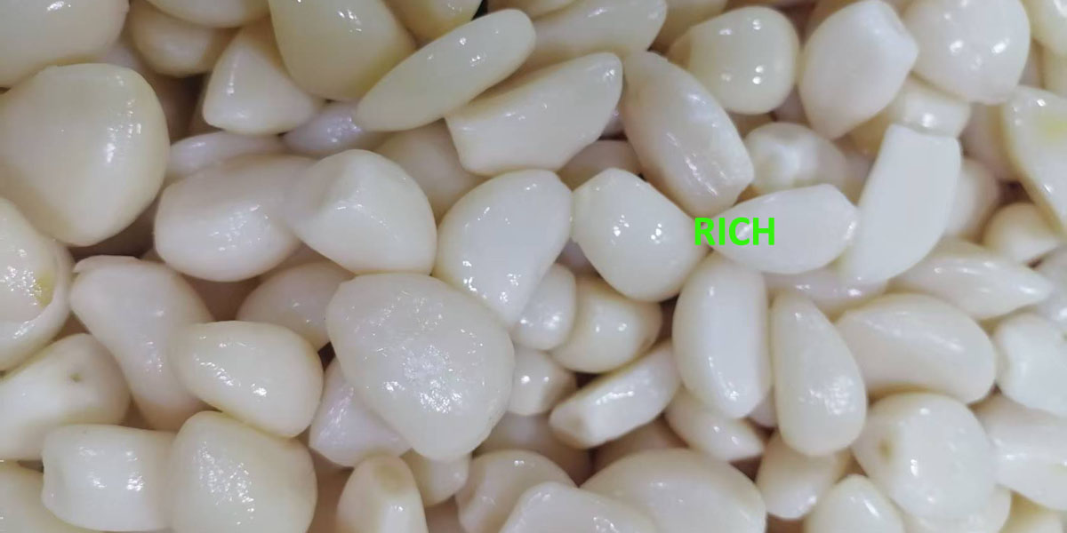 Garlic cloves in drum