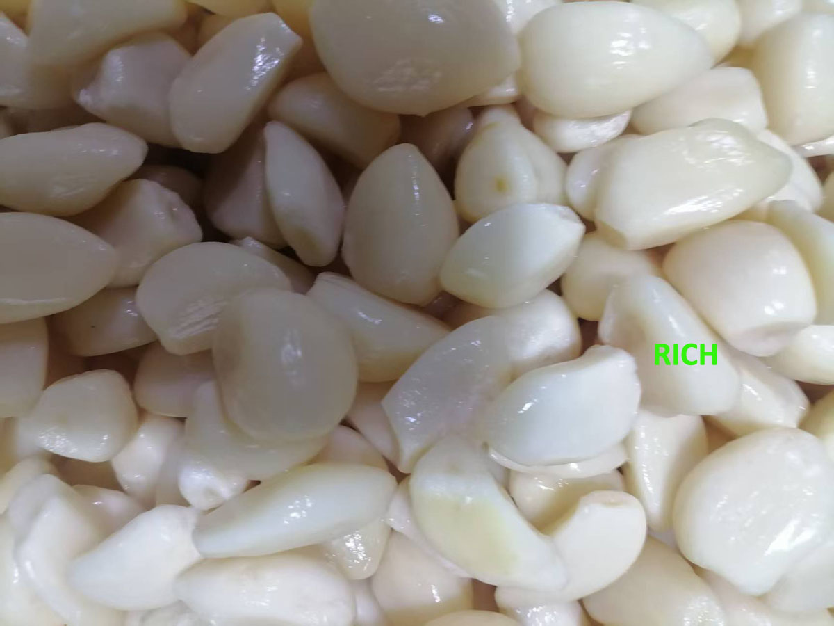 garlic cloves in brine in drums