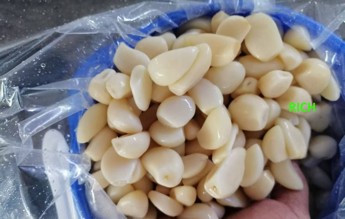 New crop preserved garlic in brine in drums