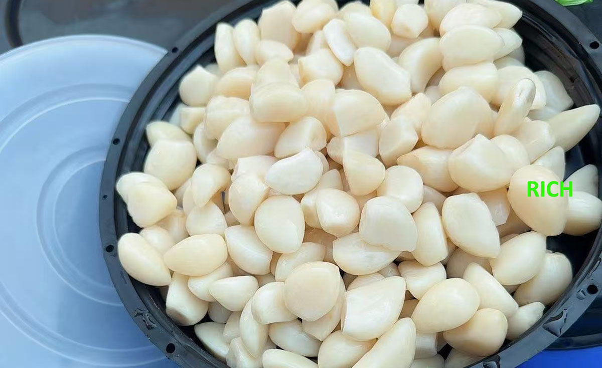 Preserved white garlic in brine in drums