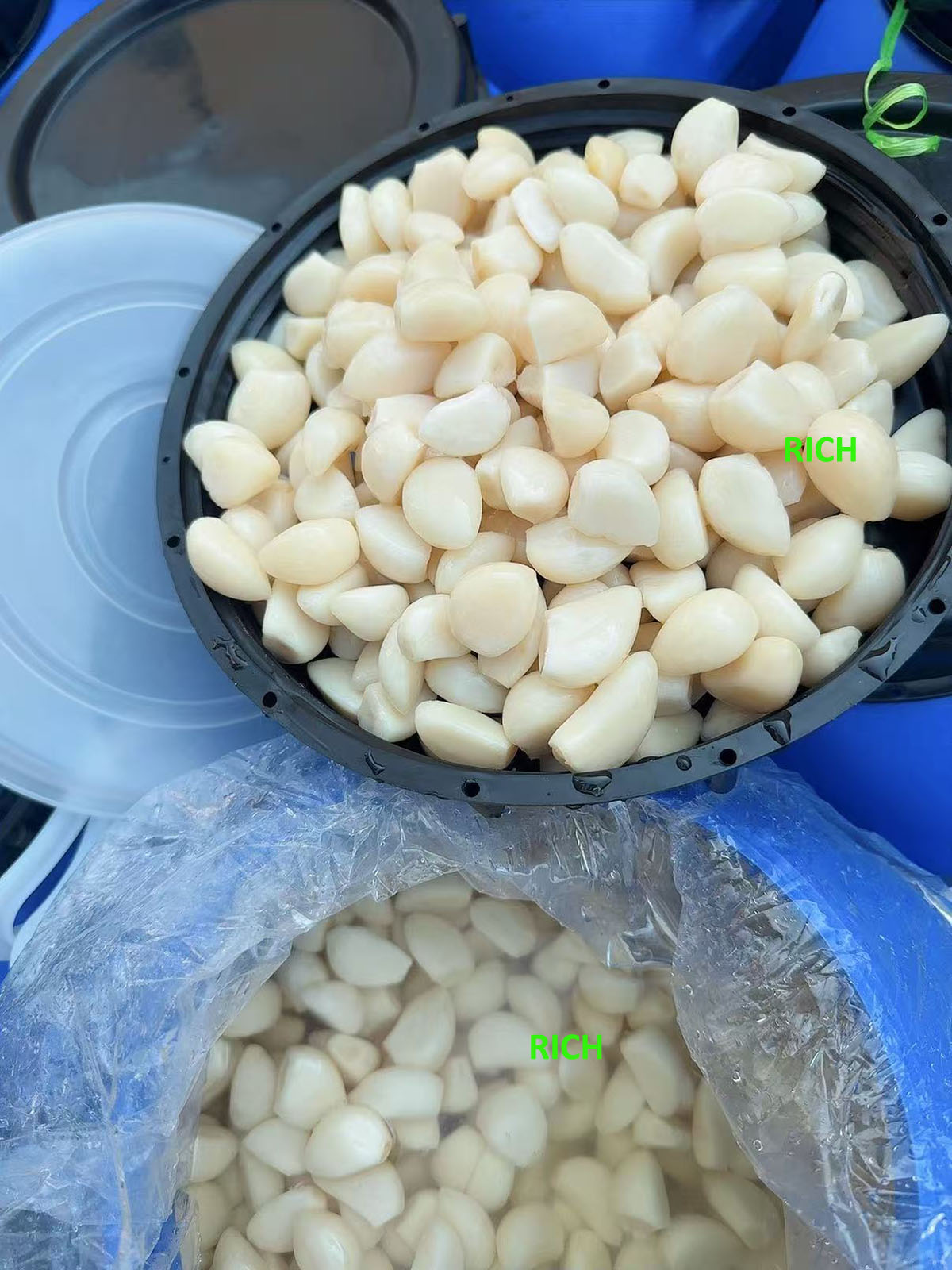 White garlic in brine in drums