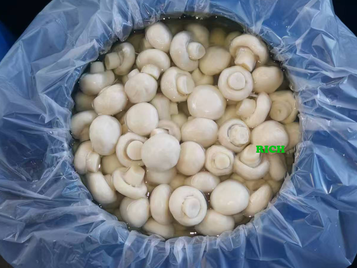 SO2 whole mushroom in plastic drums