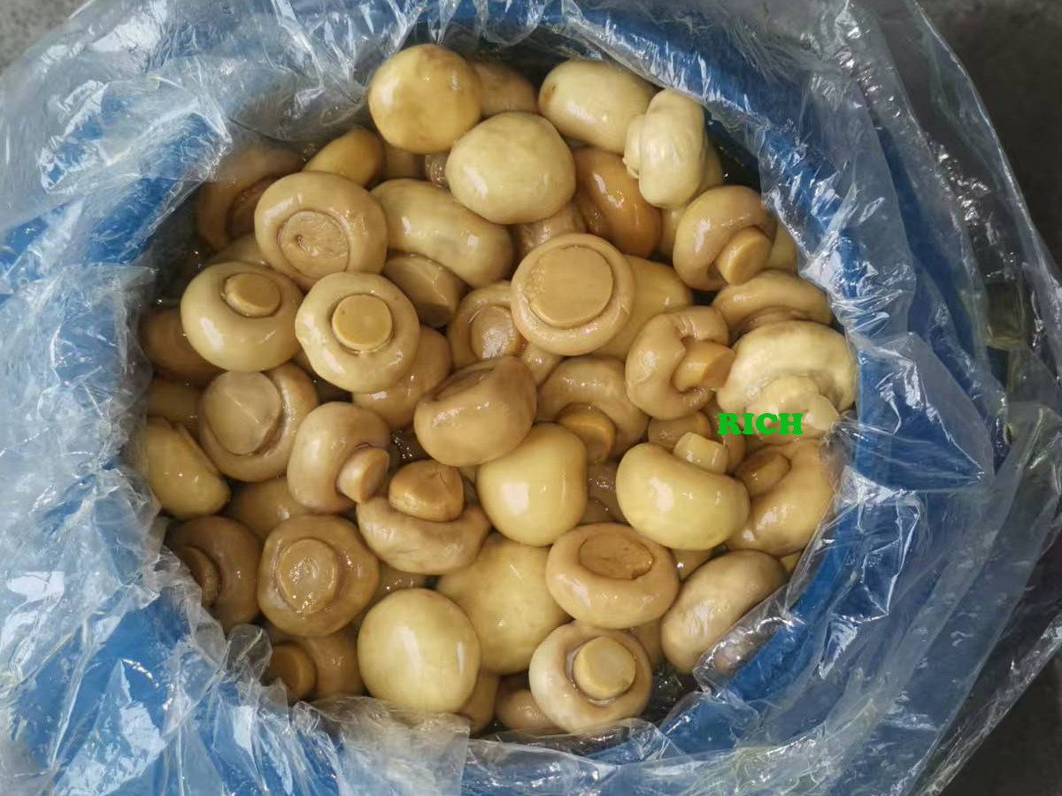 Whole White Mushroom in Brine in Drums